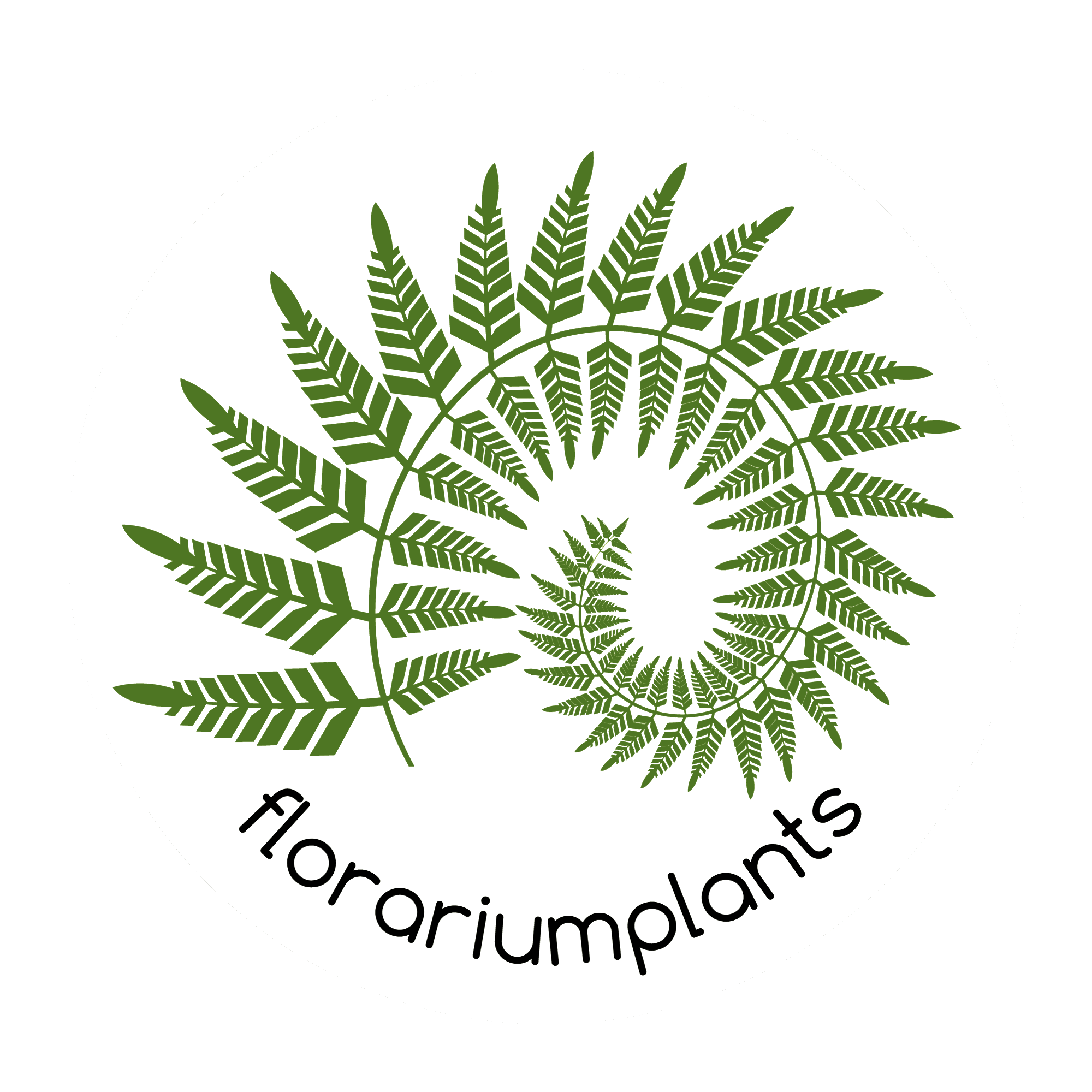 Florariumplants-все для создания тропического террариума и готовые композиции