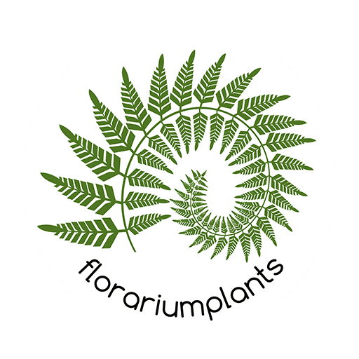 Florariumplants-все для создания тропического террариума и готовые композиции