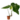 philodendron-gloriosum.png