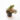 begonia-bipinnatifida.jpg
