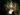 maxillaria-uncata.jpg